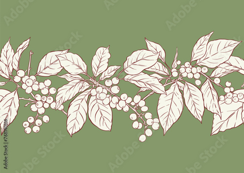 Coffee tree. Branch with leaves and berries. Seamless pattern, background. Outline hand drawing vector illustration. In botanical style