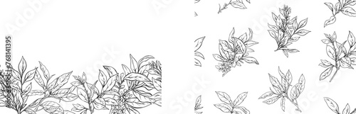 Branch with leaves of green tea. Seamless pattern, background. Vector illustration. In botanical style