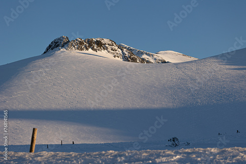 Textures in the snow photo