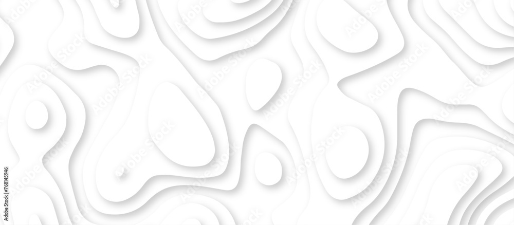 Abstract geometric layered curve line white background. 3d render, paper cut vector art background banner texture. multi layer cutout geometric patterns with smooth wavy layer. white background. Abstract geometric layered curve line white background. 3d render, paper cut vector art background banner texture. multi layer cutout geometric patterns with smooth wavy layer. white background.