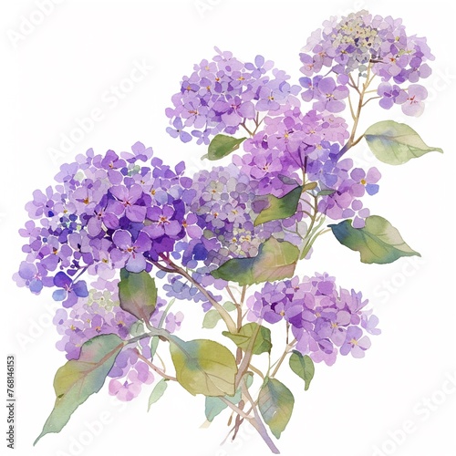 Watercolor hydrangea clipart with clusters of blue, purple, and pink flowers