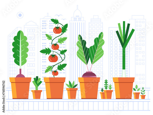 Growing Vegetables on Balcony Urban Garden