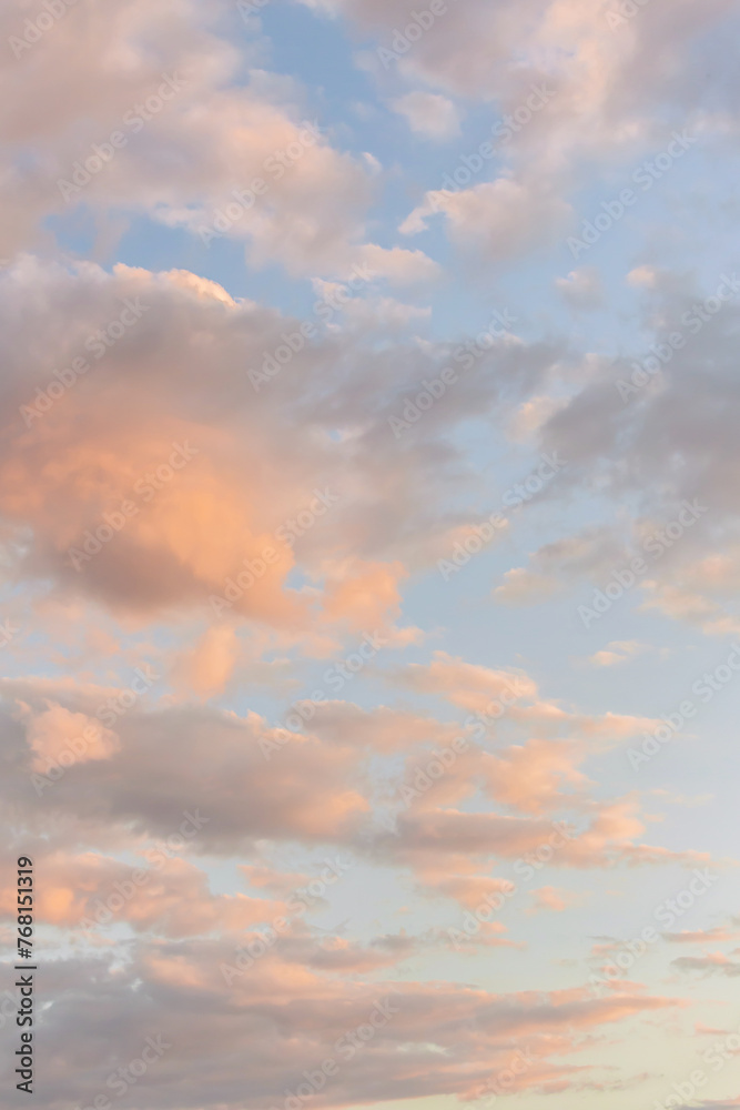 Fototapeta premium Pastel sunset sky with soft pink and blue hues among fluffy clouds, offering a gradient of warm to cool tones. Nature vertical wallpaper or background