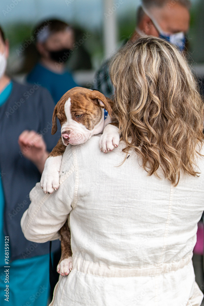 A woman is holding a puppy in her arms