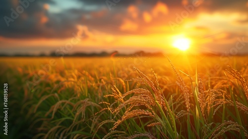 Sun Setting Over Grass Field