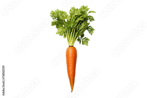 single carrots isolated on a white background photo