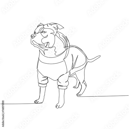 American Staffordshire Terrier, AmStaff, staffy in clothes, hoodie for dogs, dog breed, companion dog one line art. Continuous line drawing of friend, dog, doggy, care, pet, animal, family, canine.