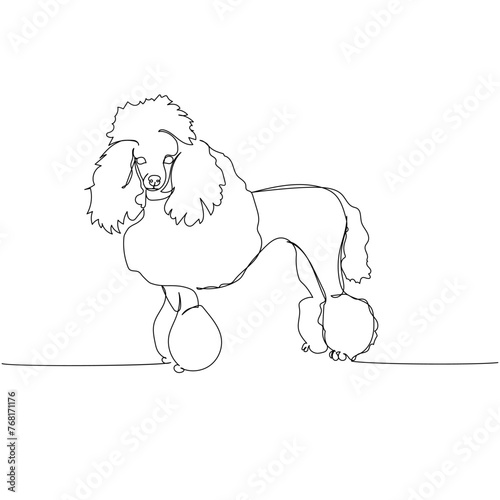 Poodle dog breed, companion dog one line art. Continuous line drawing of friend, dog, doggy, friendship, care, pet, animal, family, canine.