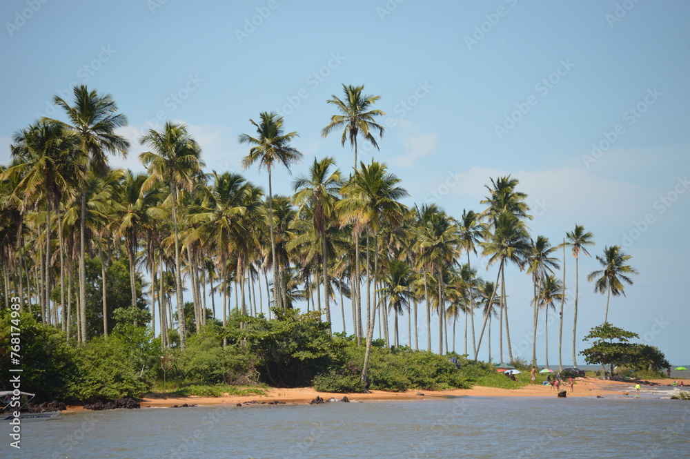 Coconut beach in Aracruz on the coast of Espirito Santo, Brazil