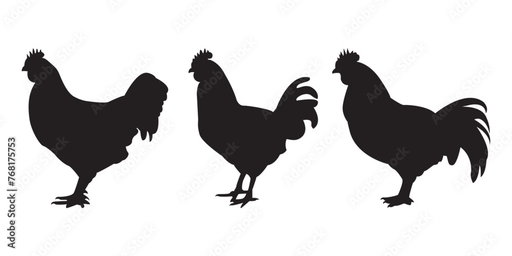 hen chicken silhouette set, set of silhouettes of hen. chicken vector silhouette hen chicken silhouette set, set of silhouettes of hen. chicken vector silhouette