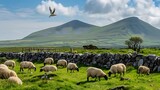 Sheep and rams grazing in Connemara mountains, Ireland - Generative AI