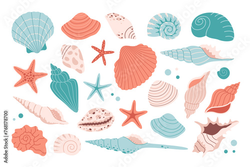 Collection of sea shells, mollusks, starfish, sea ​​snails. Tropical beach shells. Vector illustration in flat style photo