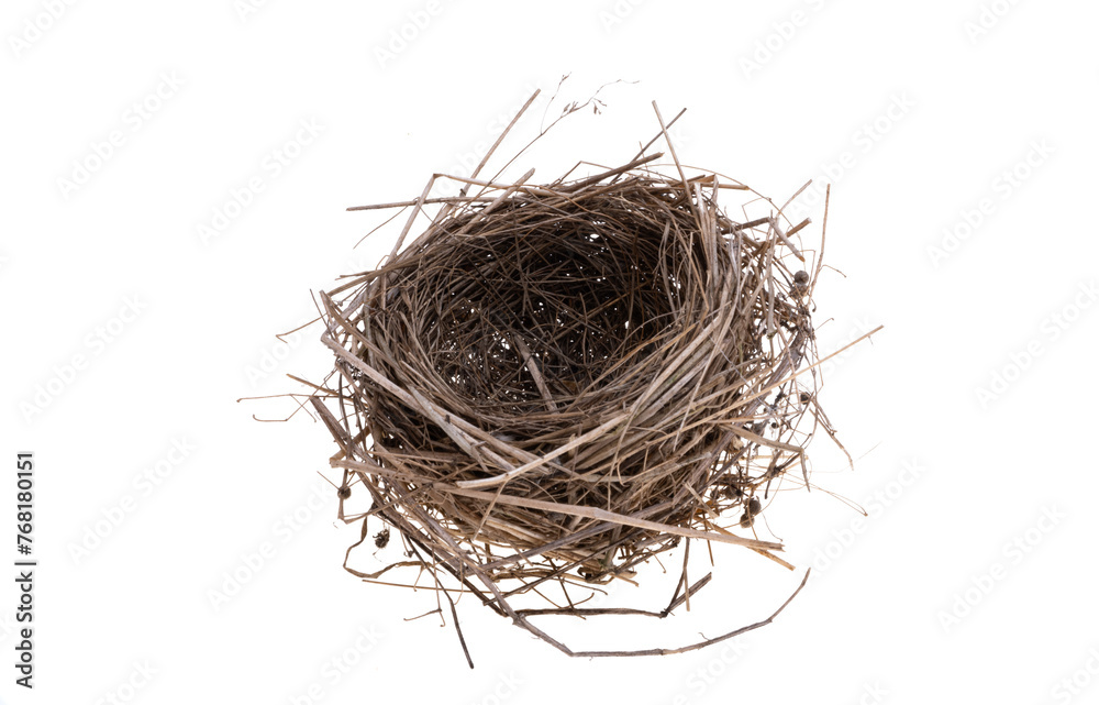 Obraz premium bird nest isolated