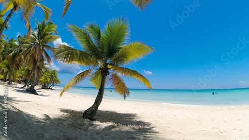 Fototapeta Naklejka Na Ścianę i Meble -  palm beach in dominican republic