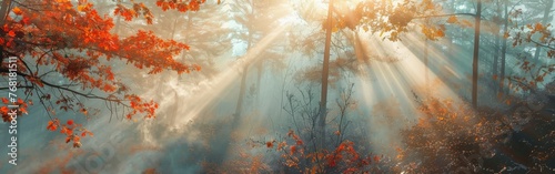 Sun Shines Through Trees in Forest