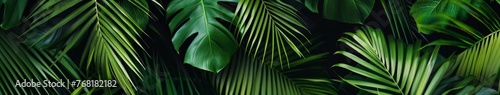 Close-Up of Vibrant Green Tropical Leaves