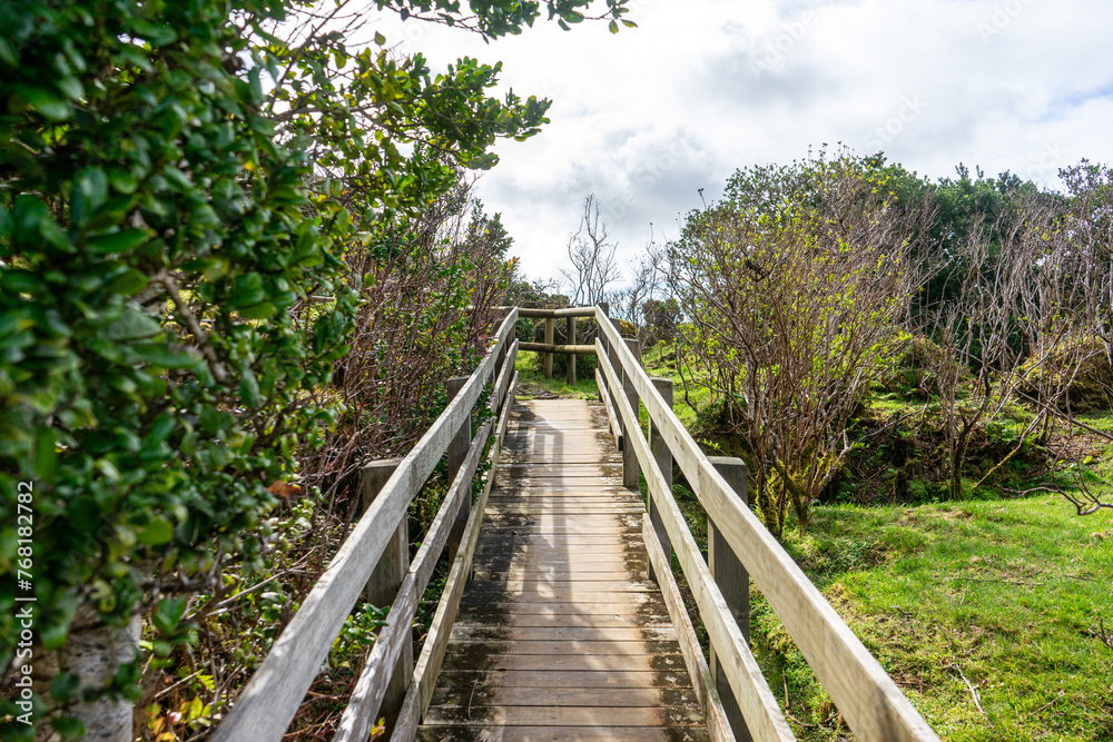 Fototapeta premium Wooden footbridge winding through sulfur fumaroles in Terceira Island's furnas, Azores.