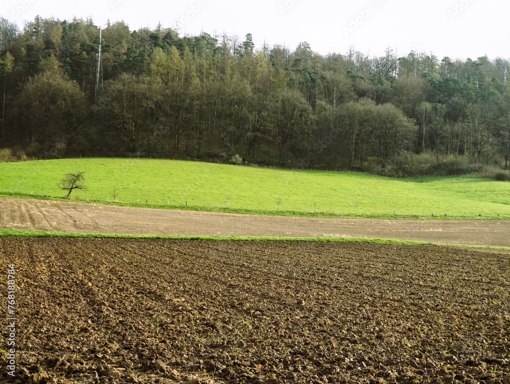 Grünes Landschaft Panorama mit Ackerfeldern vor Wald und Himmel bei Sonne am Morgen im Frühling Grünes Landschaft Panorama mit Ackerfeldern vor Wald und Himmel bei Sonne am Morgen im Frühling