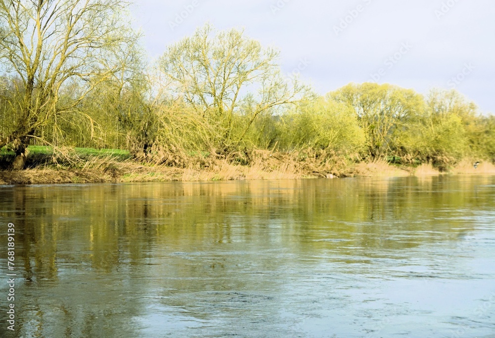 Flusslandschaft mit Sträuchern und Bäumen am Ufer und Spiegelung auf Wasser bei Sonne am Morgen im Frühling