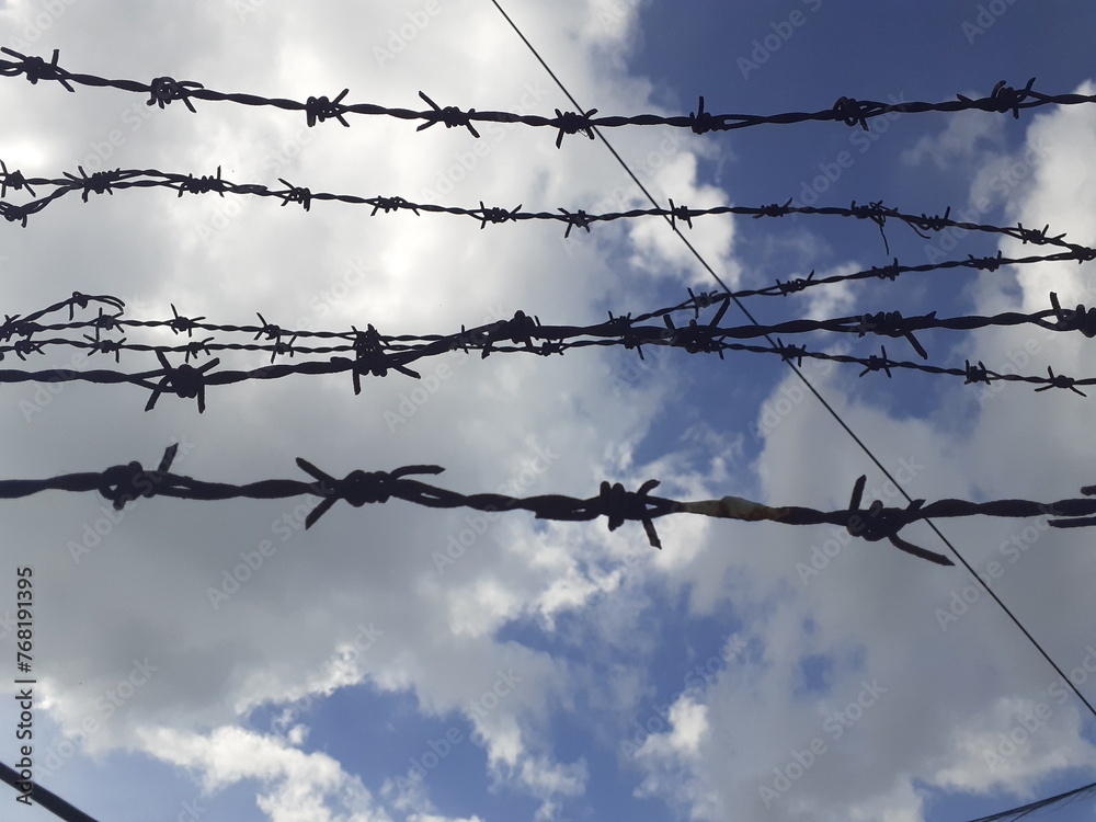 barbed wire against blue sky, threat to freedom concept barbed wire against blue sky, threat to freedom concept