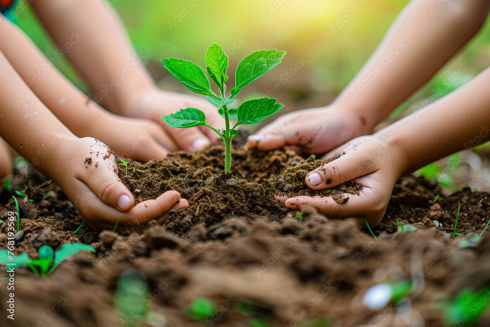 A woman's hand holds a young green plant preparing to plant on the ground, for the concept of world environment day. A woman's hand holds a young green plant preparing to plant on the ground, for the concept of world environment day.