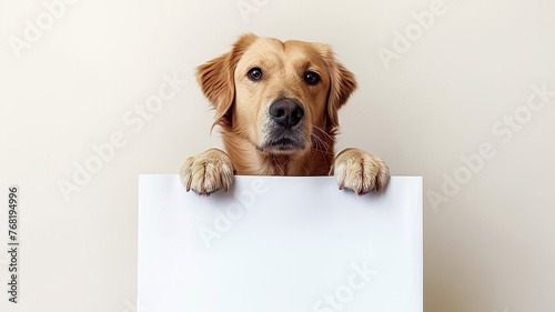 Funny cute dog holding blank white banner, poster, sign. Blank horizontal web banner template with copy space. Generative AI