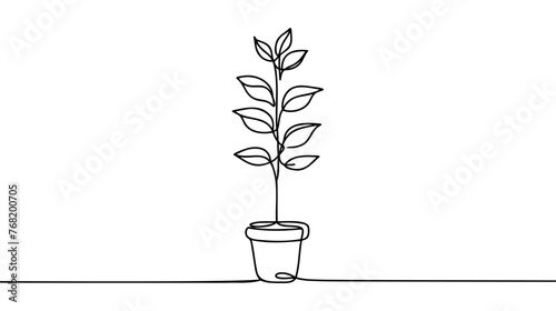 Plant tree in pot in human hands. Continuous one line drawing. Vector illustration.