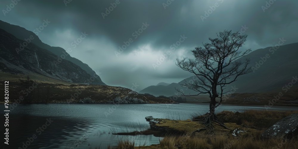 A lone tree stands on the shore of a lake under a dramatic grey sky