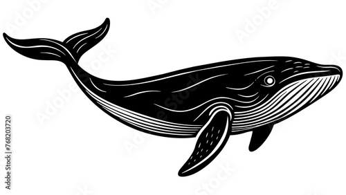 Discover Stunning Whale Vector Art Dive into Captivating Designs