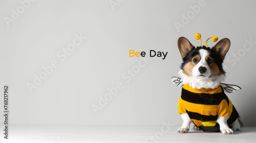 A charming corgi dog dressed in a bee costume poses in a minimalist setting, humorously celebrating World Bee Day. photo
