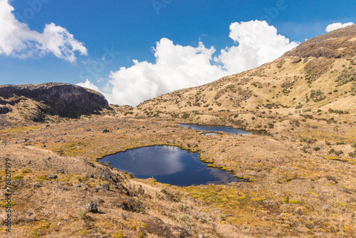 landscape full of paramo with mountains and Laguna Verde in the Los Nevados National Natural Park in Colombia © Saintdags