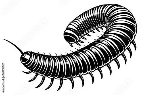 a realistic Millipede silhouette vector art Illustration