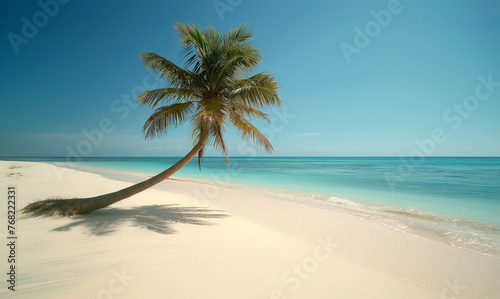 Obraz na płótnie Palm tree on the beach. w salonie