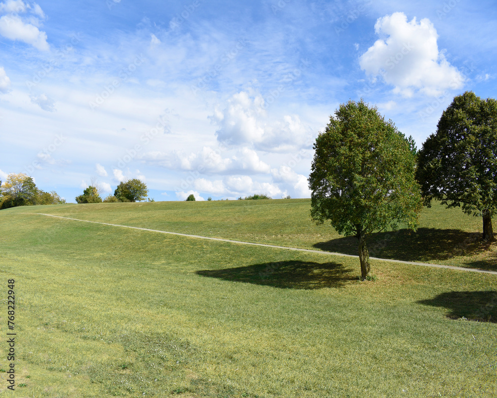 Obraz premium An outdoor image of a park with trees, grass, blue skies