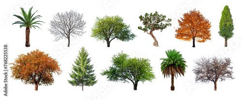 Isolate trees collections on transparent backgrounds 3d render png