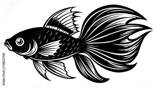 Stunning Siamese Fighting Fish Vector Enhancing Your Designs with Striking Graphics