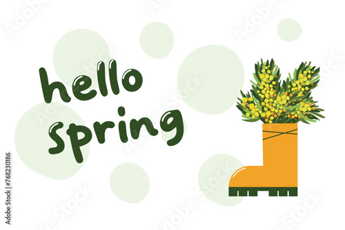 Mimosa in yellow boot.  Yellow flowers with leaves. Spring flowers. Floral composition. Vector illustration on wthite background. Space for your text.  photo