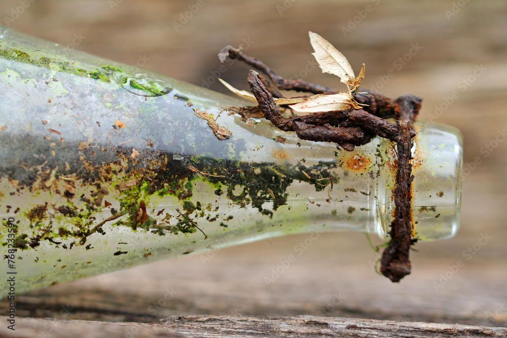 Fototapeta premium Old glass bottle on wooden background