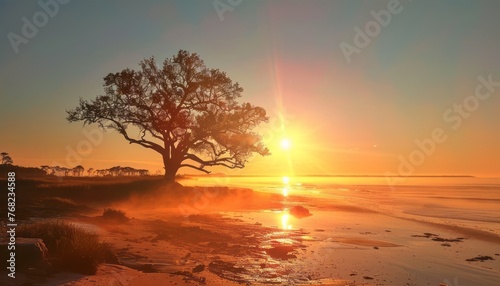 Sun Setting Over Ocean With Tree in Foreground © DigitalMuseCreations