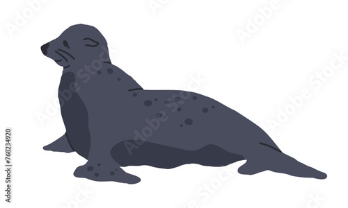 Fur seal. Wild antarctic mammal animal, cute sea lion, marine animal flat vector illustration. Hand drawn seal on white