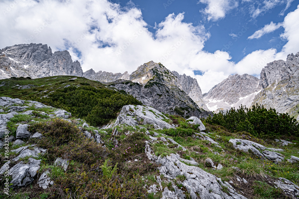 Karger Bewuchs auf Felsen hoch im Winden Kaiser Gebirge in Tirol.