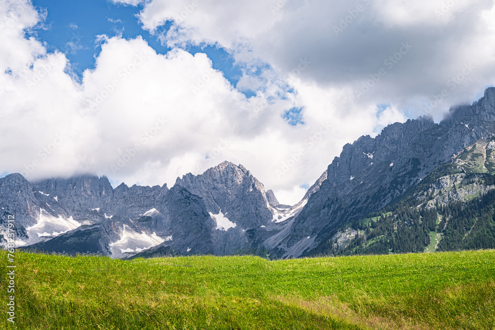 Sommerliche Alpenlandschaften - grüne Wiese mit dem Wilden Kaiser Gebirge im Hintergrund.