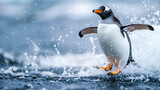 Playful penguin splashing in icy waters