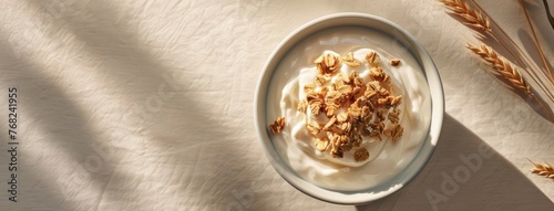 a bowl filled with Greek yogurt topped with granola, positioned centrally on a light background, with additional granola or wheat in the foreground to accentuate its traditional style.