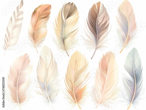 Collection of varied colored feathers neatly arranged on a plain white surface, showcasing a range of vibrant hues and textures