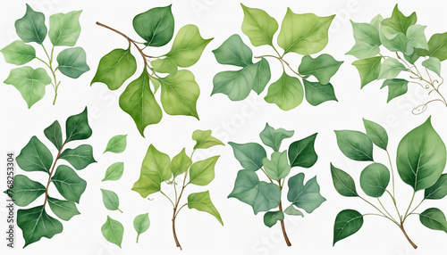 collection of soft watercolor ivy leaves 