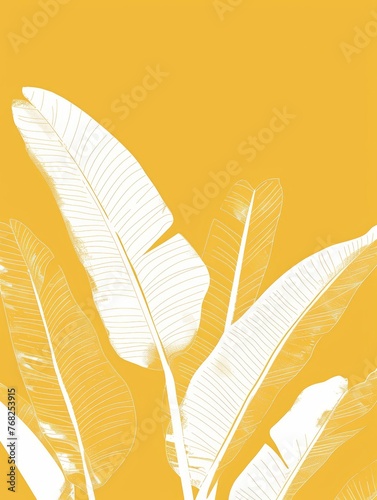 A banana tree with vibrant yellow and white leaves standing tall in a sunny setting