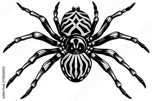 A realistic Spider silhouette vector art illustration