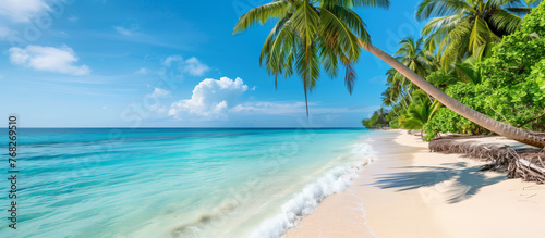 Beautiful sandy beach with palm trees and azure sea on the island  paradise on earth