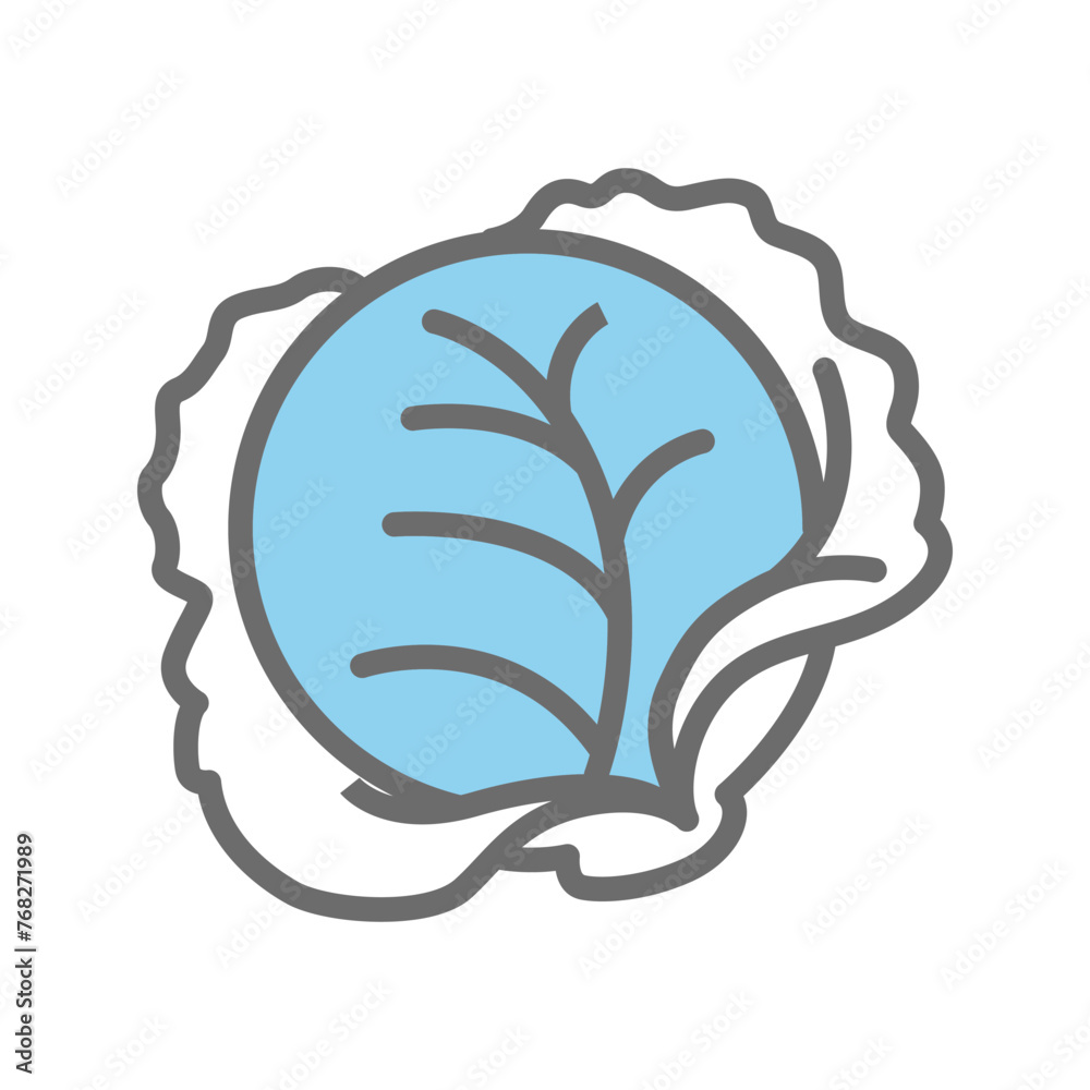 Cabbage icon vector design template Cabbage icon vector design template